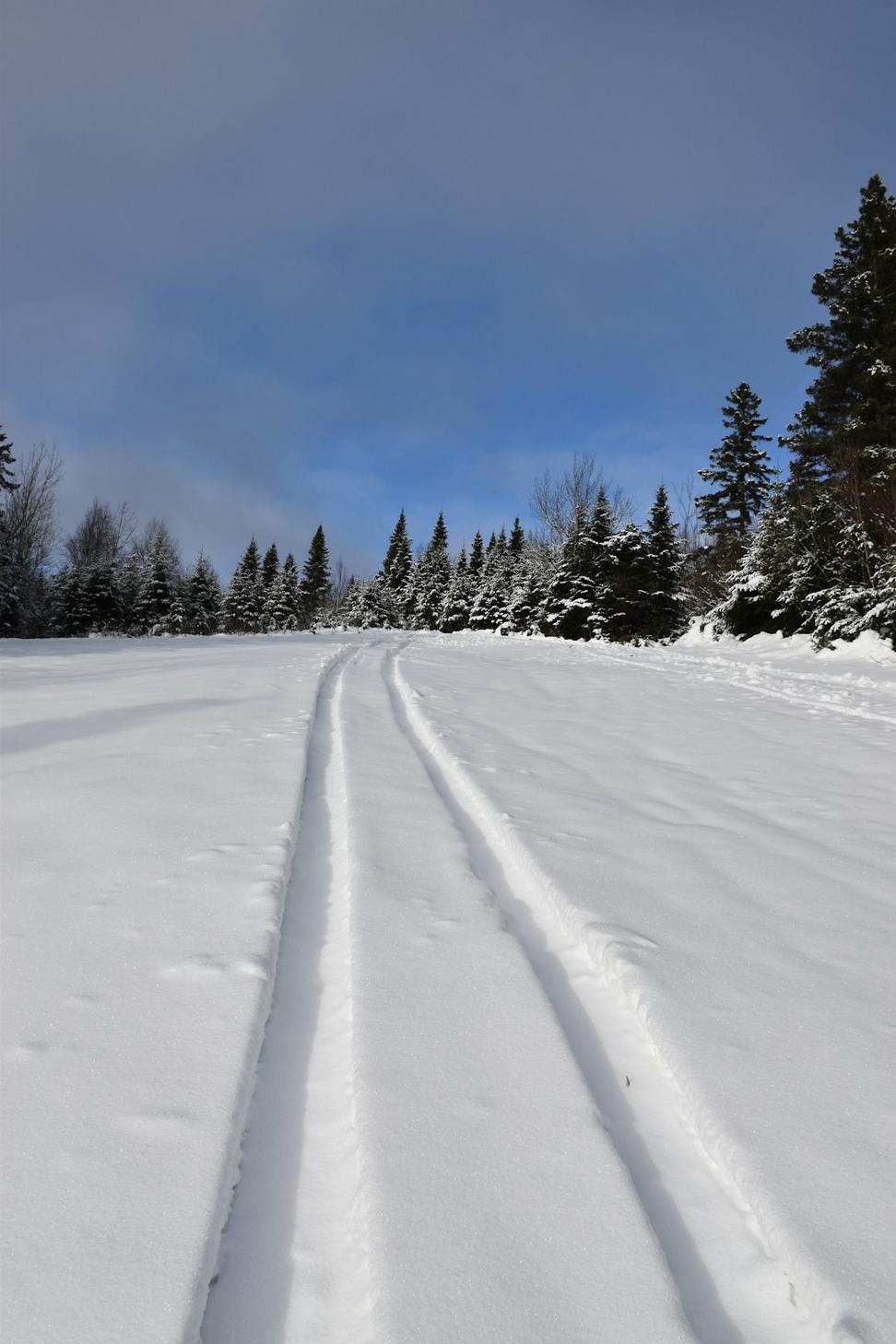 Snowshoeing